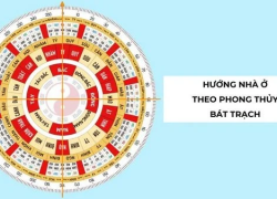 Thông tin & Hình ảnh từ thiện